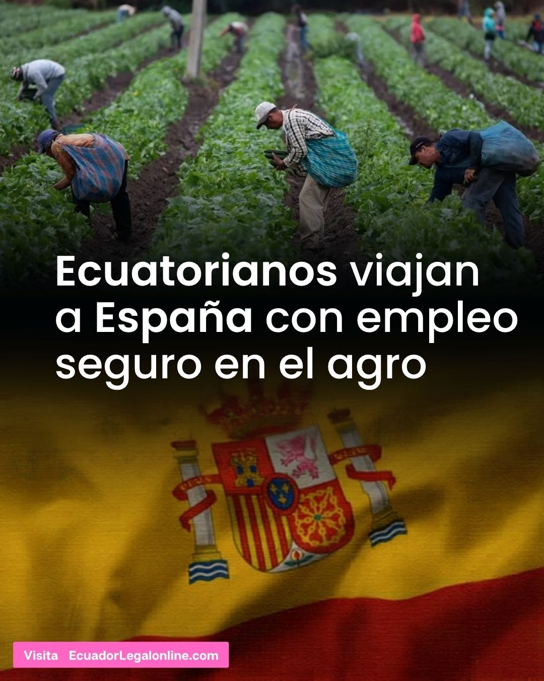 @ecuadorlegal