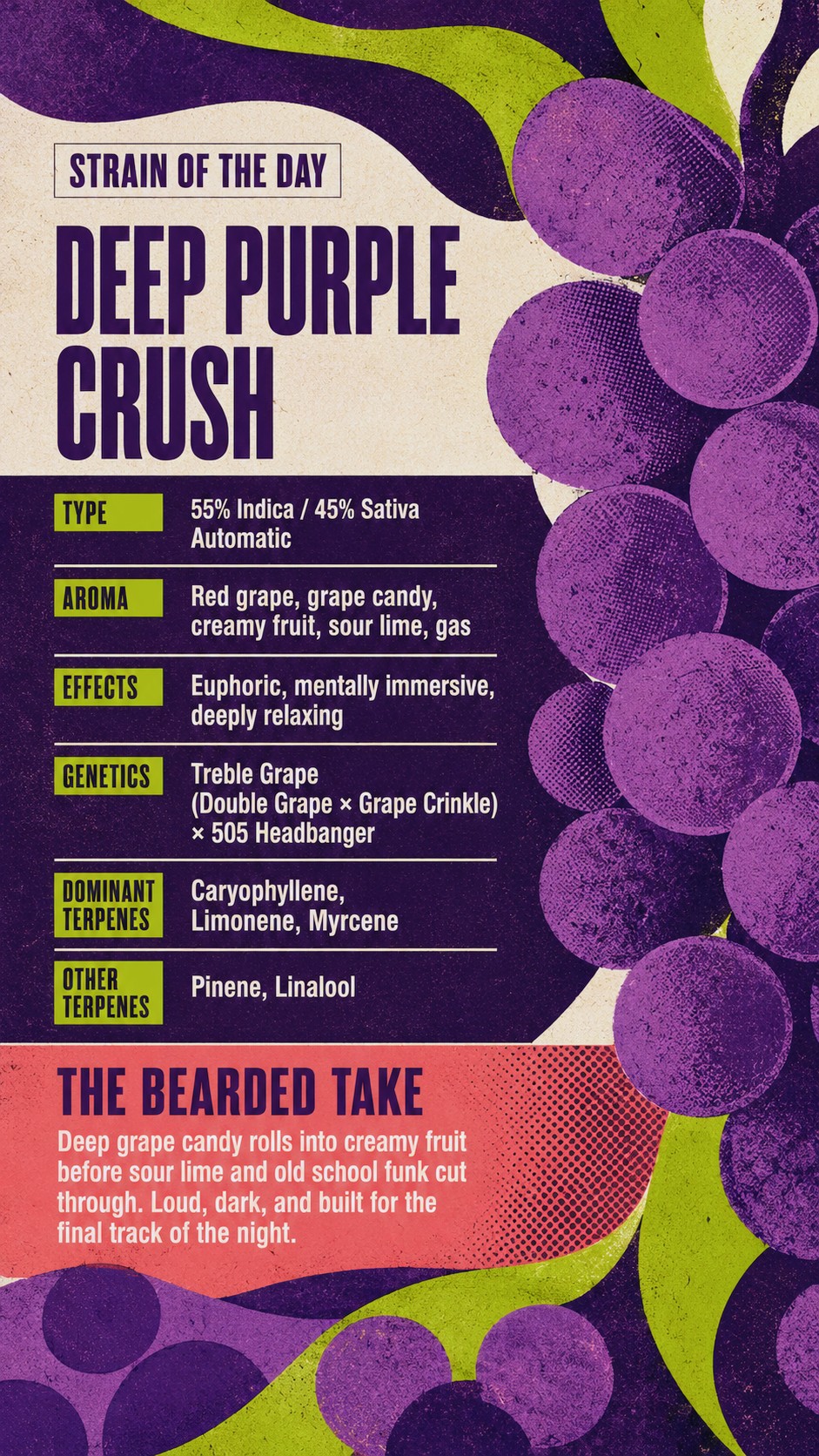 @beardedgardner