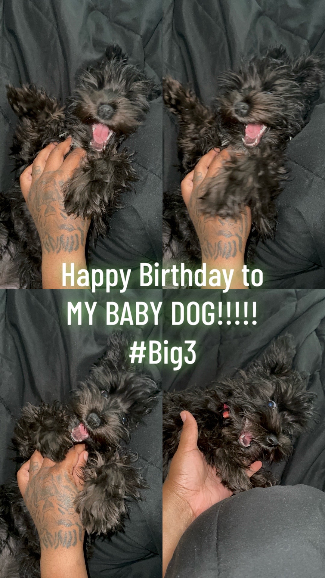 @DomTheMom! ๐