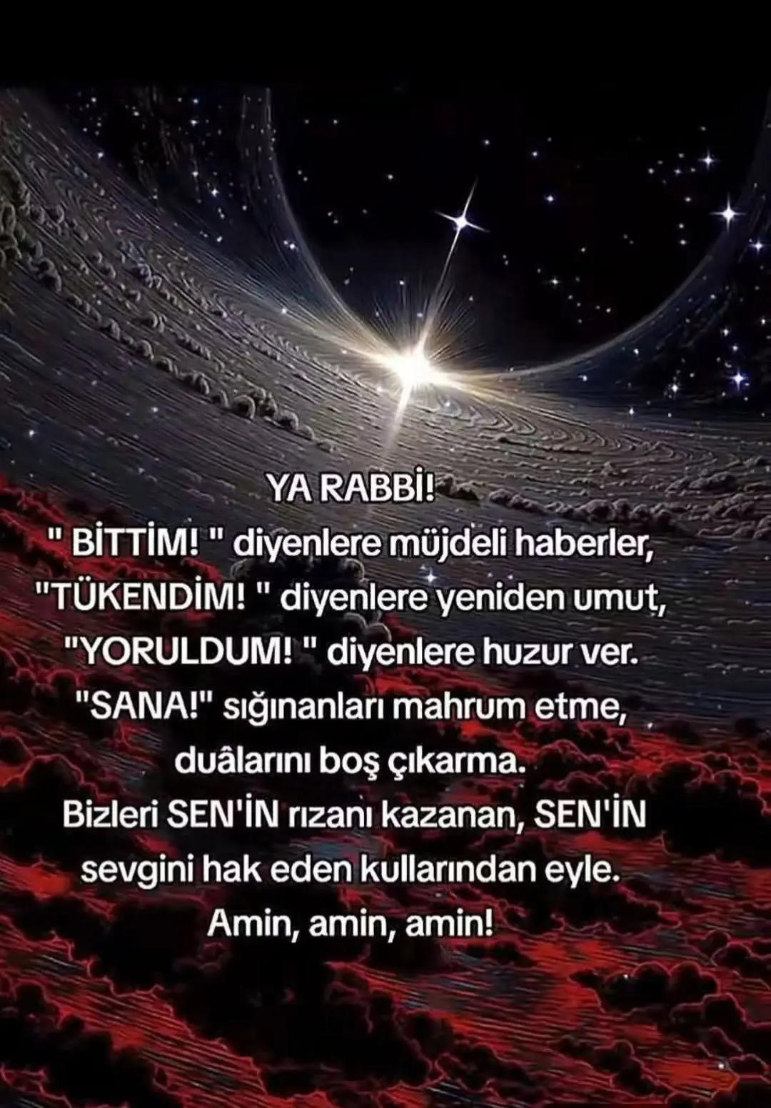@Raziye Erim