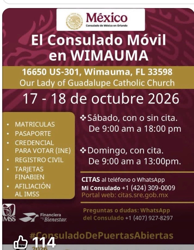 @Águila 331