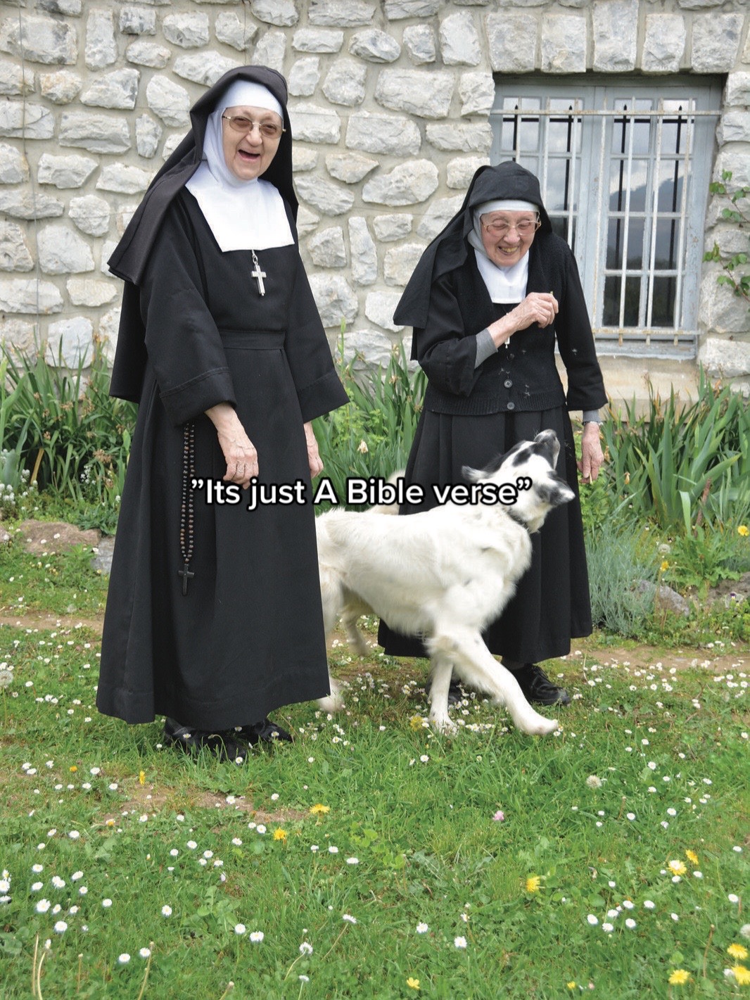 @✞🕊️