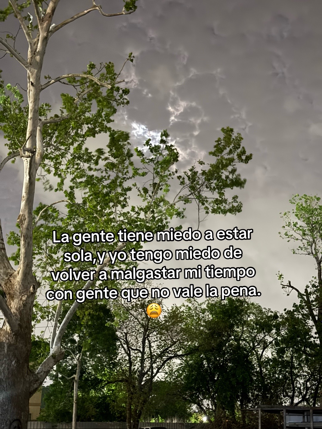 @Carolina Vasquez_13🐺