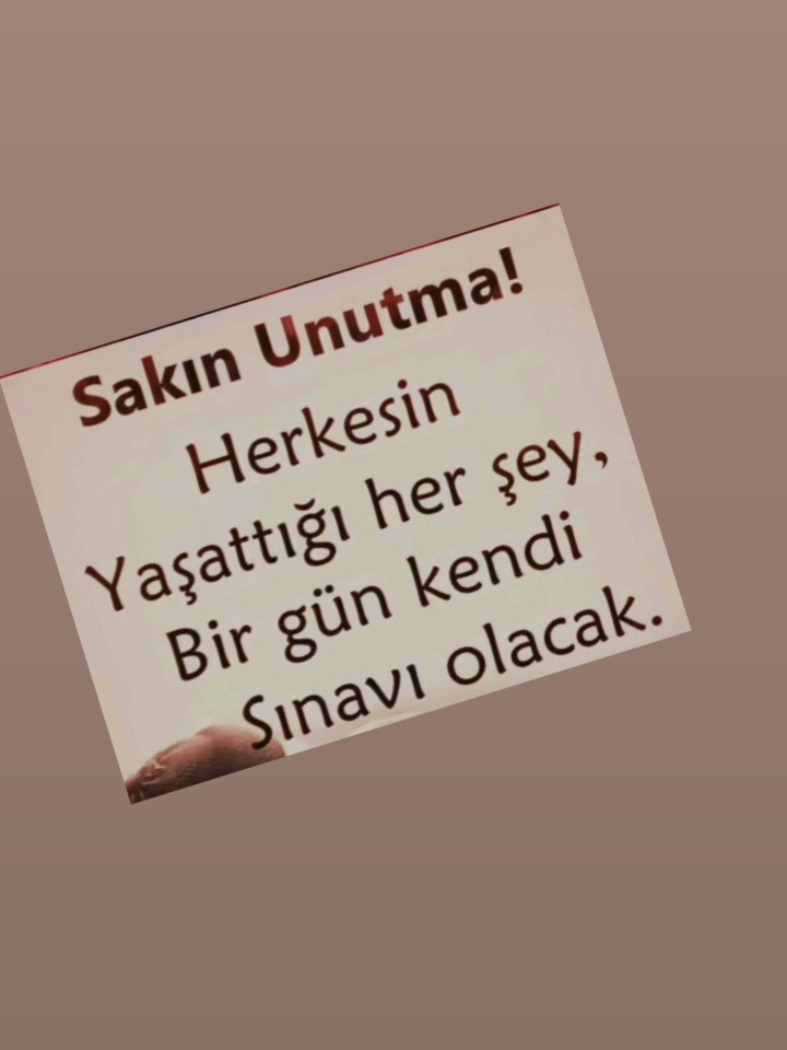 @papatya