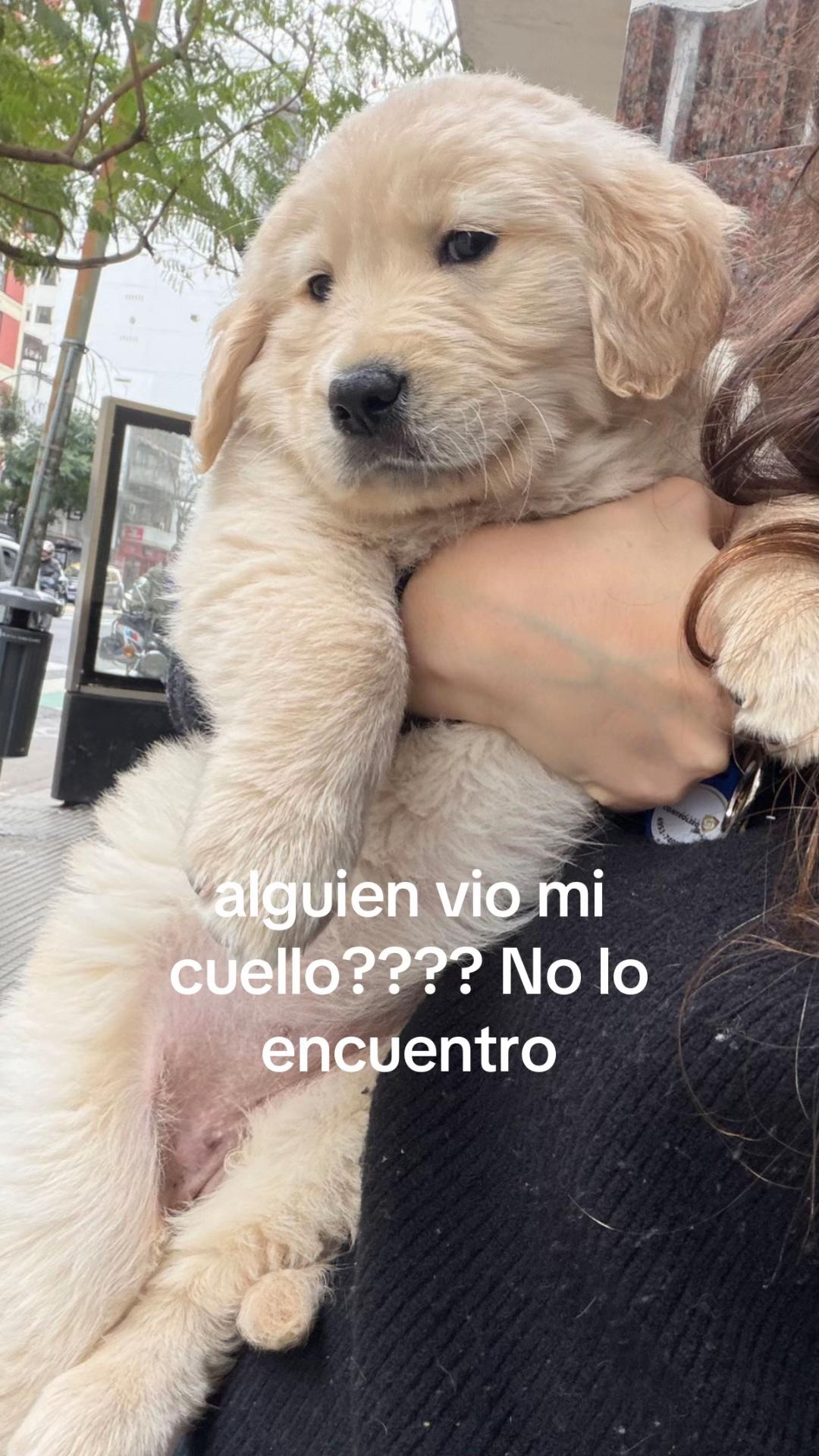 @Panchalagolden