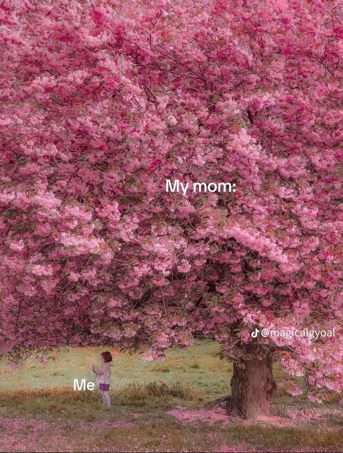 @🤍