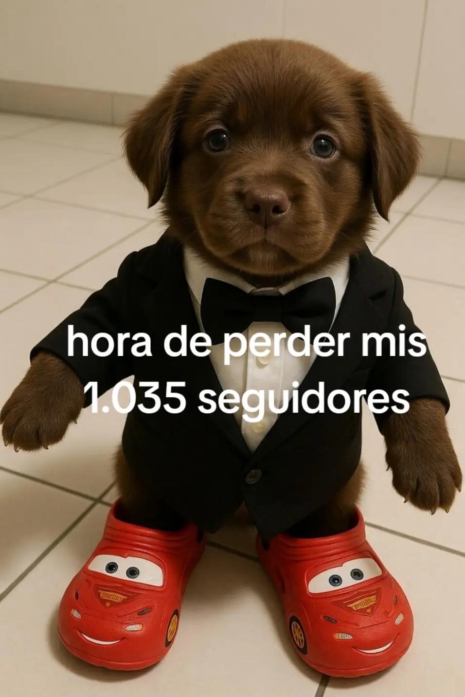 @~santi