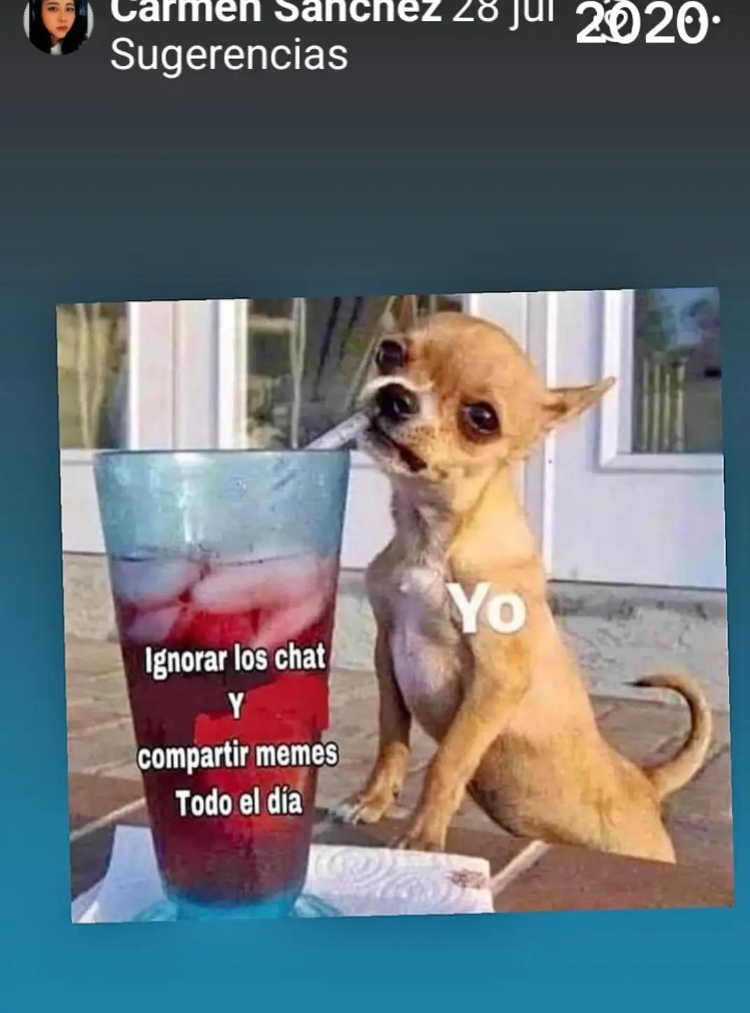 @Carmen Sánchez