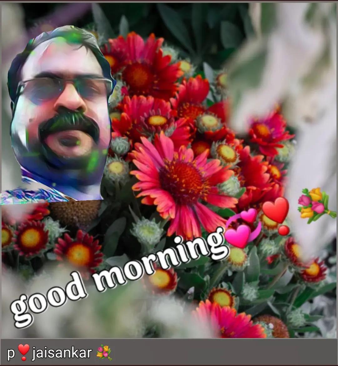 @sankarjaisankar