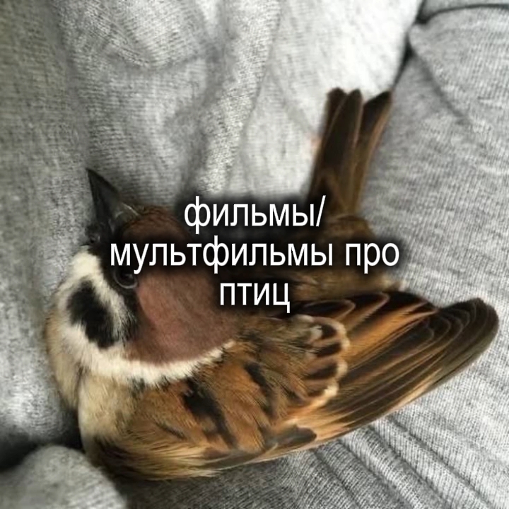 @𝑒𝑙𝑠𝑖𝑒𝑣𝑠𝑘𝑎𝑦𝑎.ꕥ