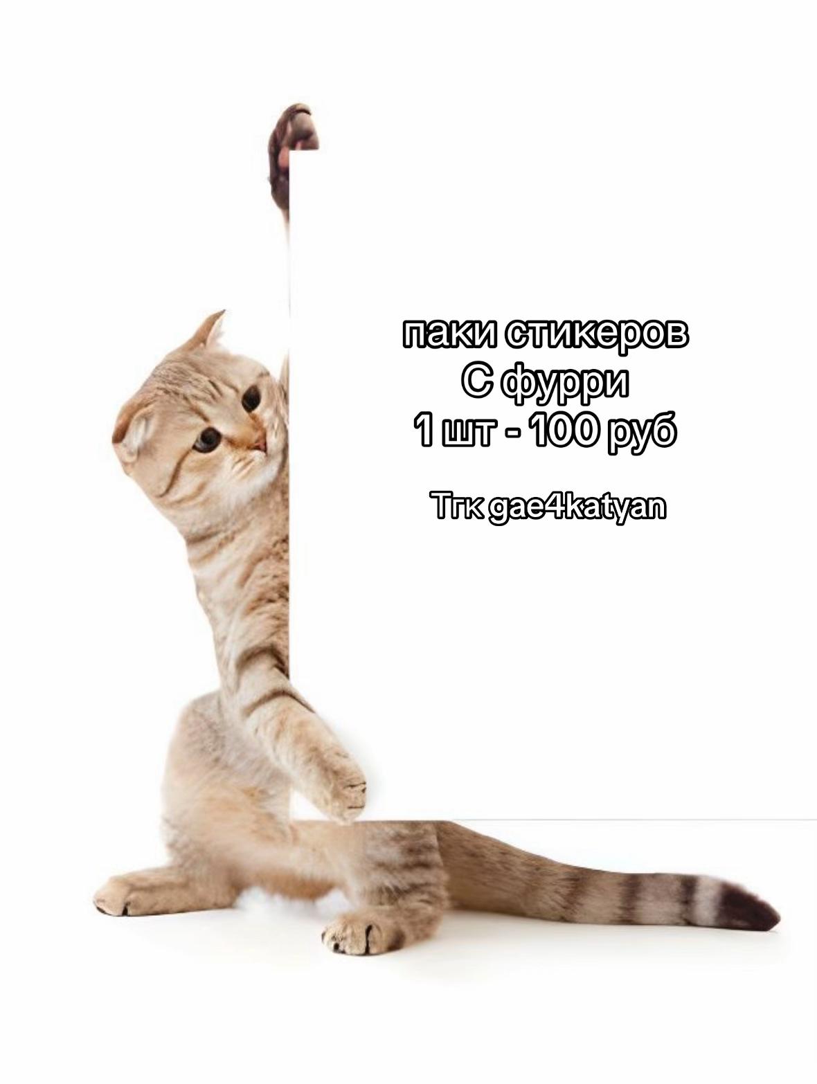 @gae4katyanᶻ 𝘇 𐰁