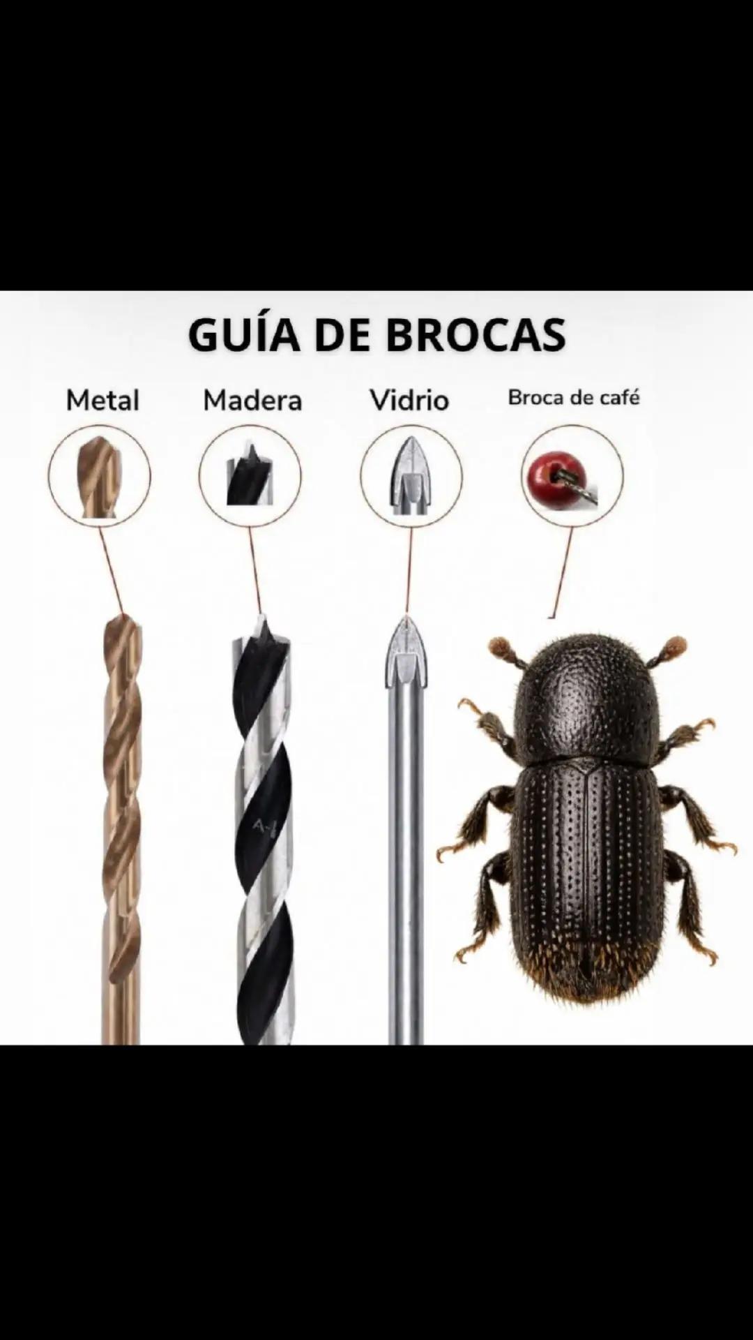 @@juliogomez_agro