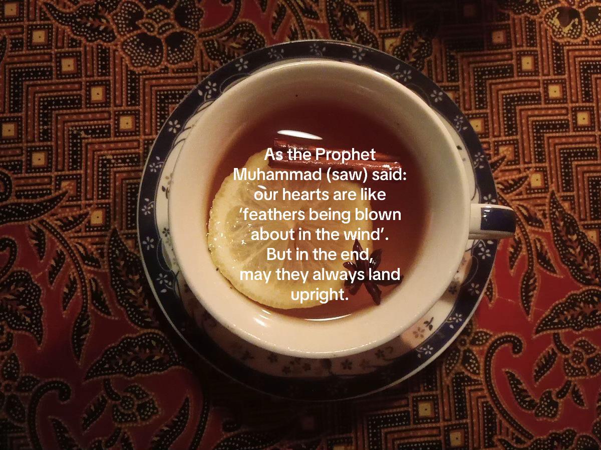 @مؤمن ☕︎