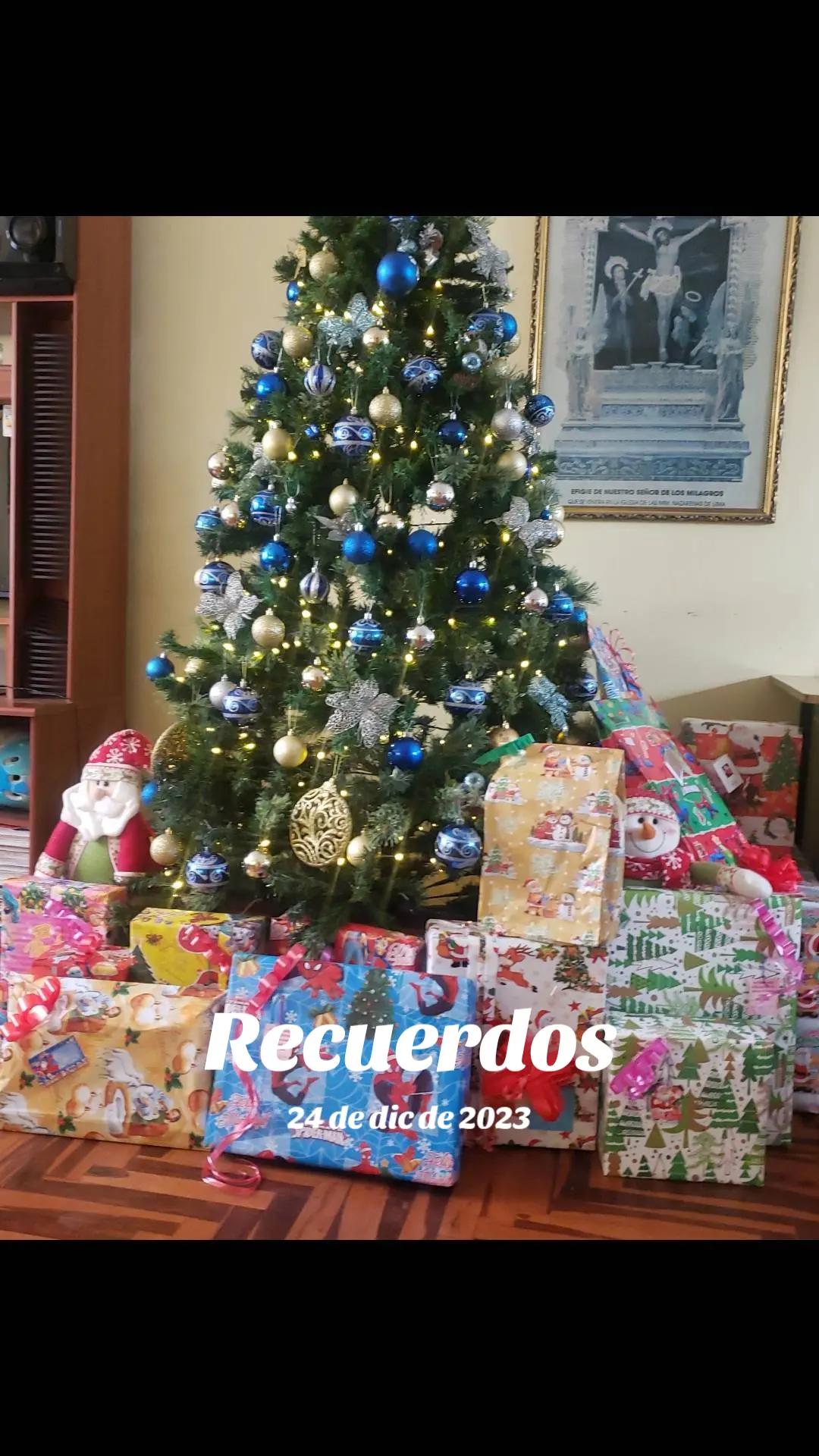 @Jose David Portella