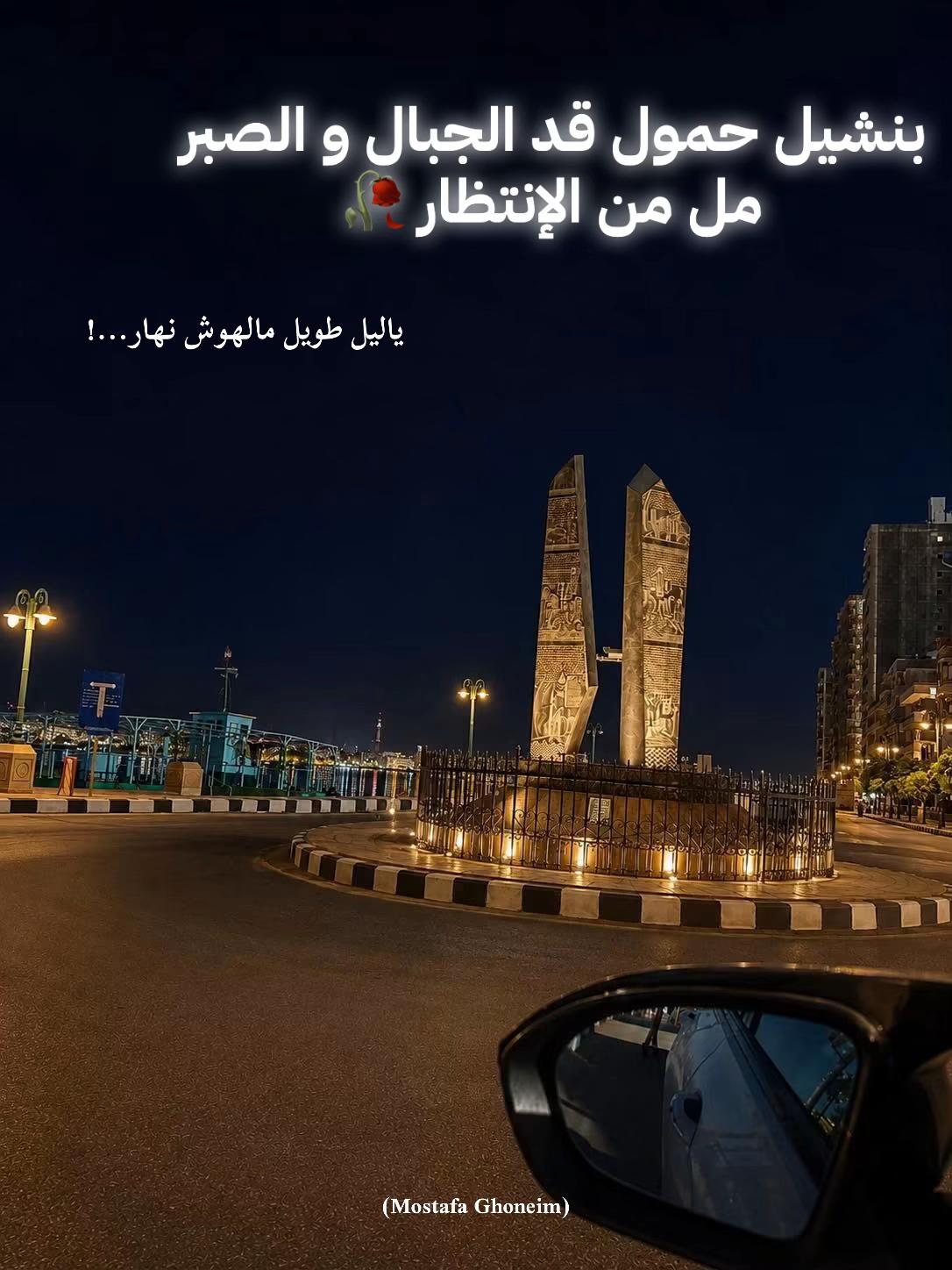 @Mustafa Ghoniem