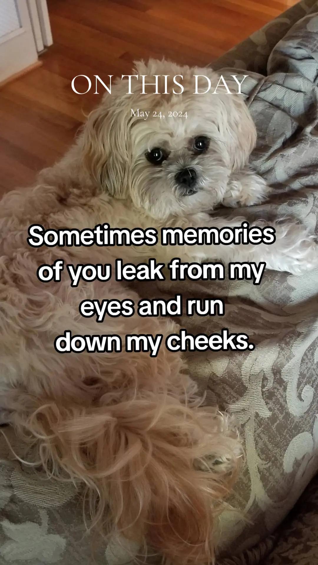 @Little Miss Mollie