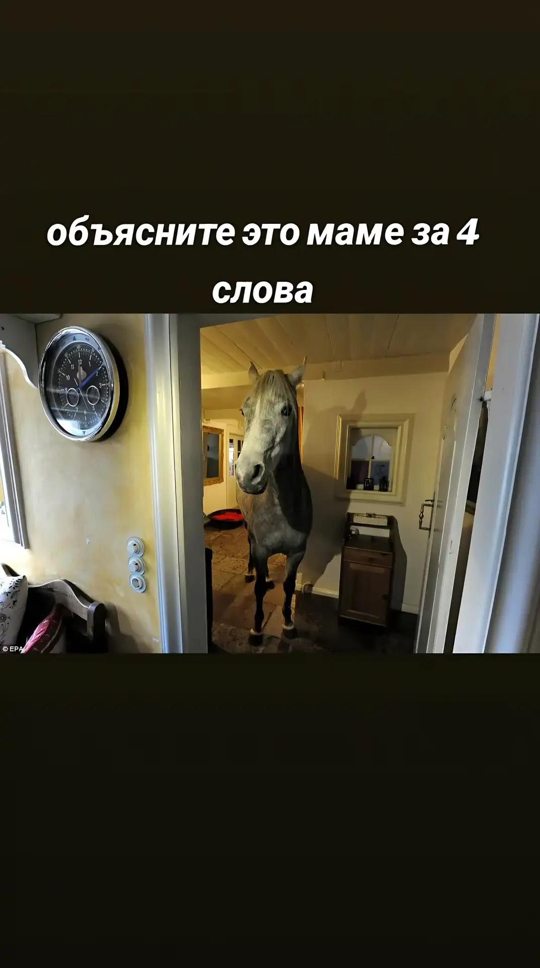 @`=`~DANYA~`=`