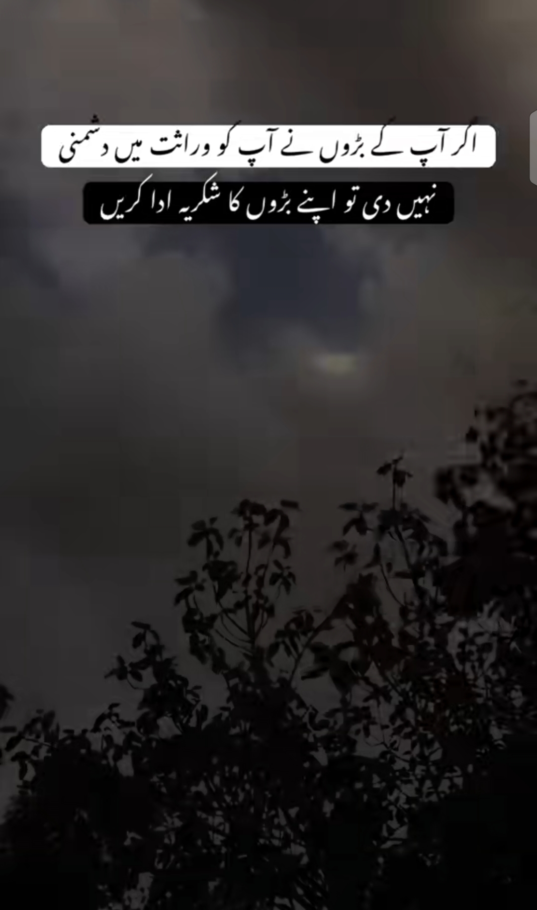 @مرشدヅ 🏴