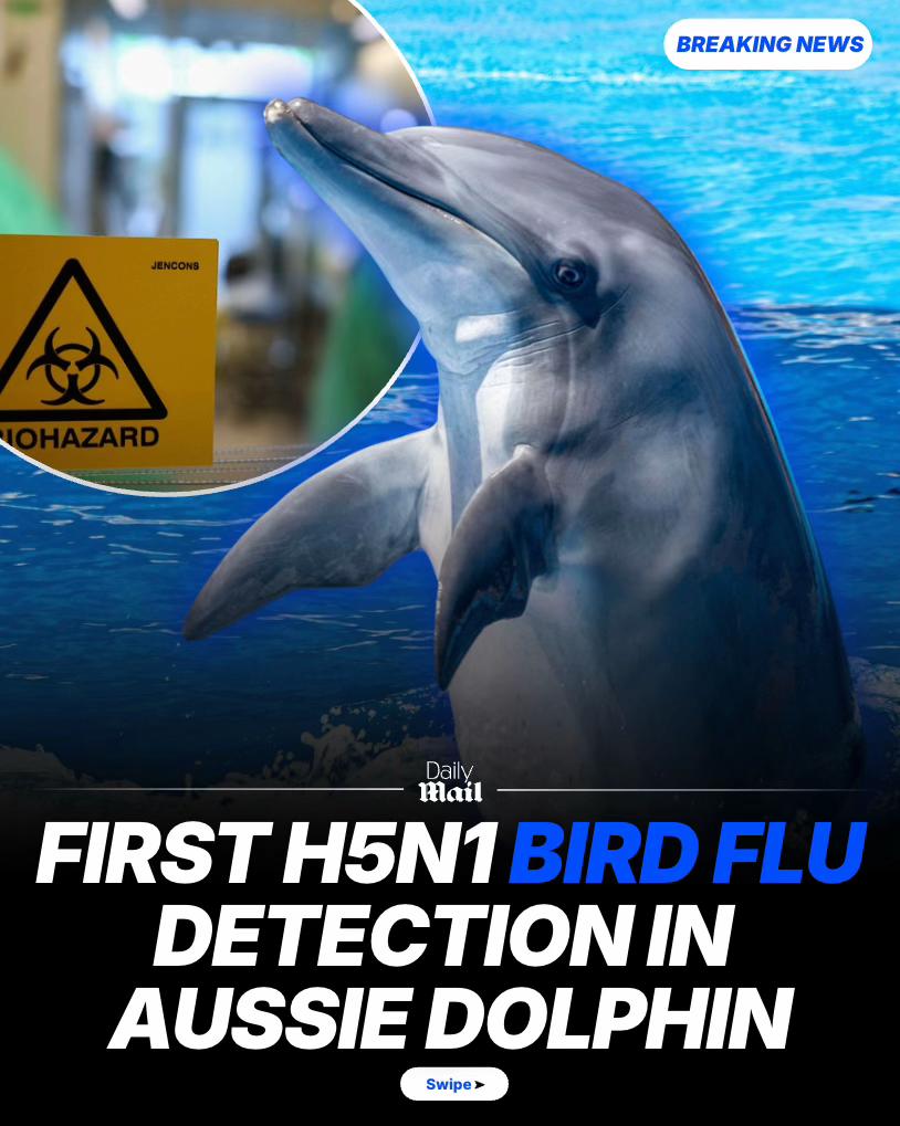 @Daily Mail Australia