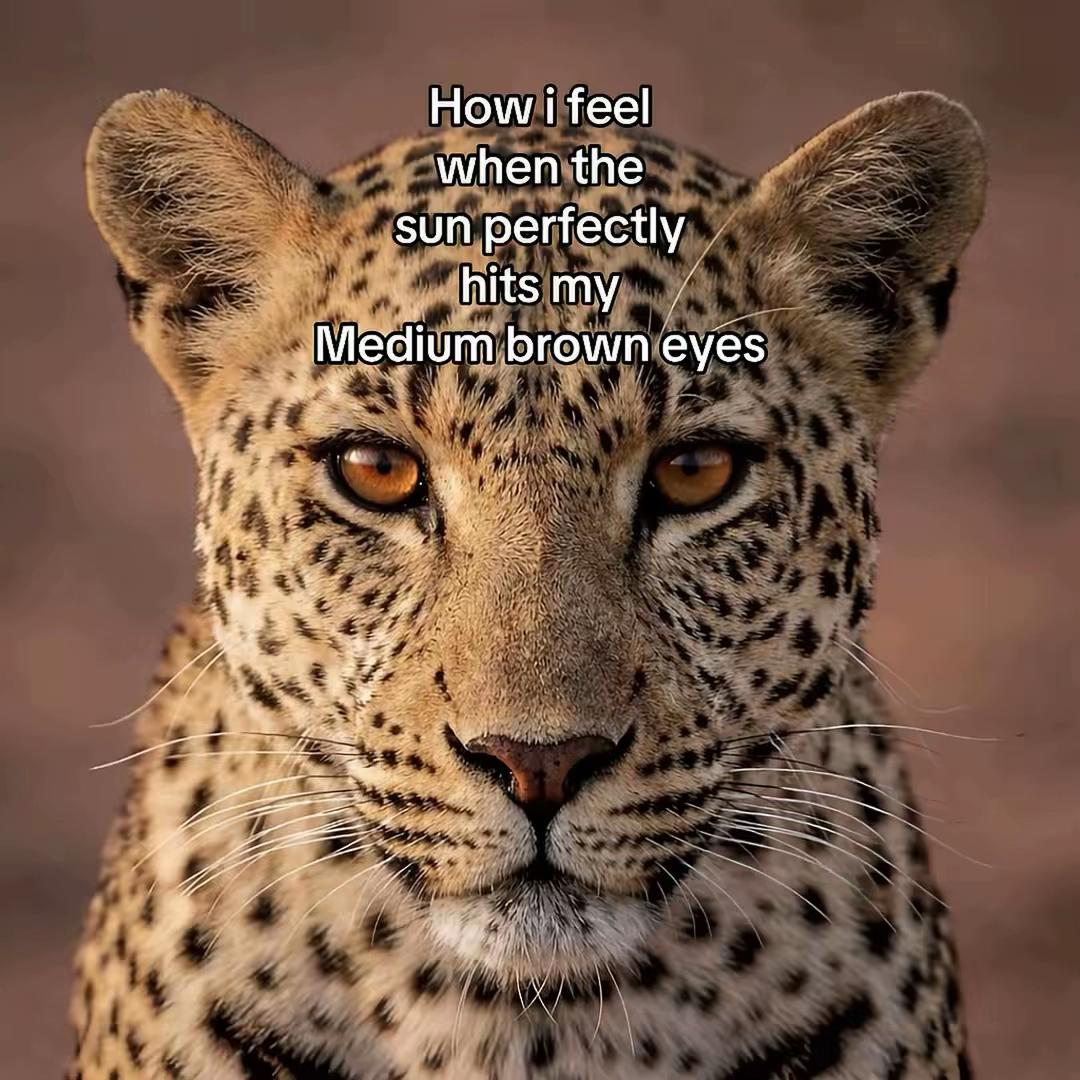 @⭐️