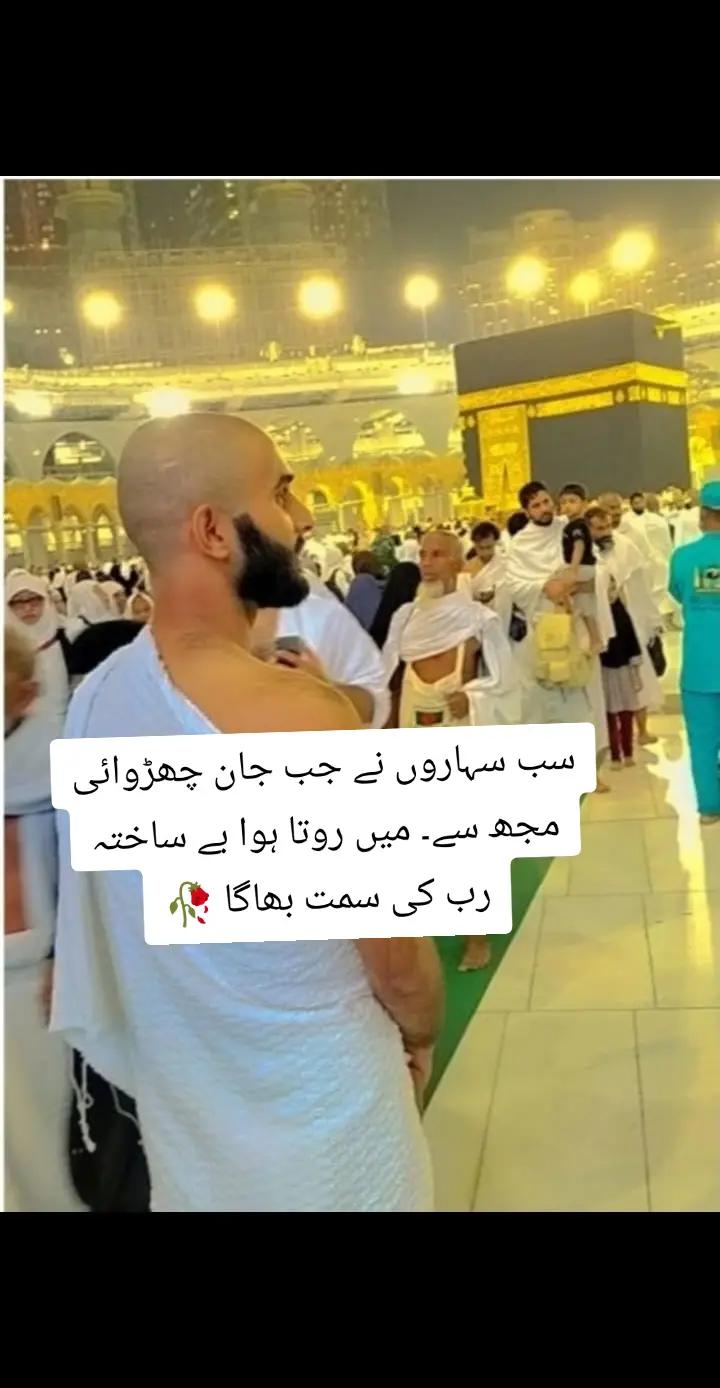 @Najeeb Warriach