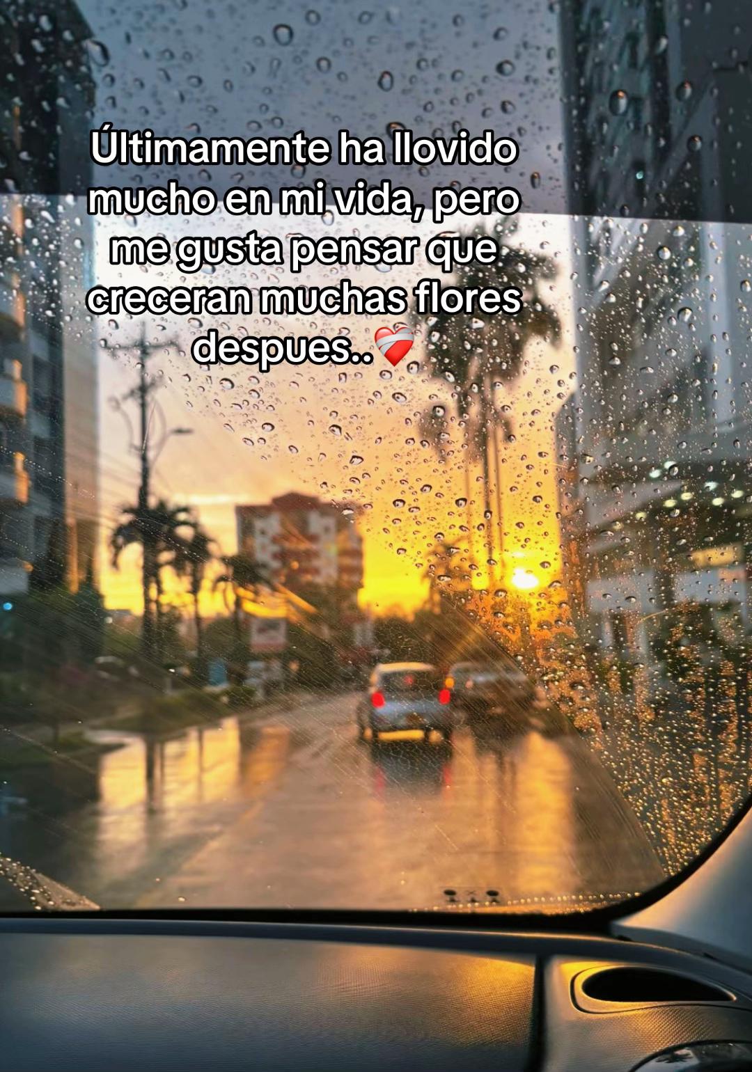 @Genesis Vargas Ch
