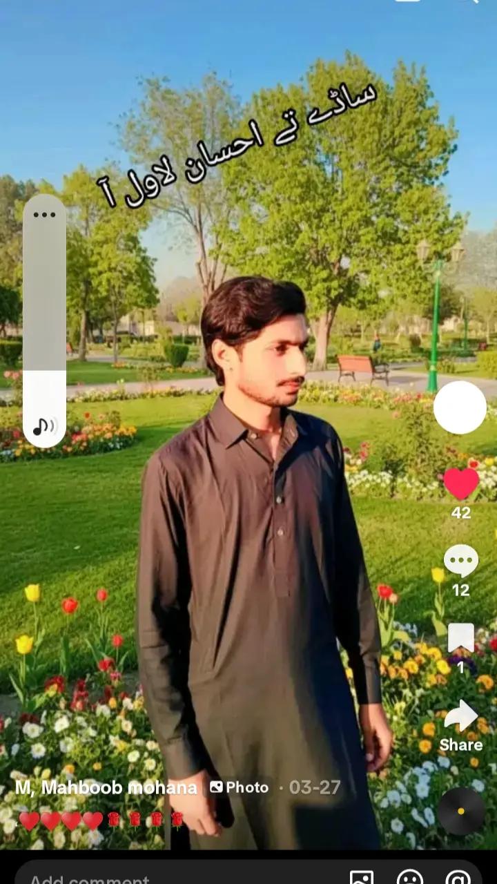 @amjadkhan