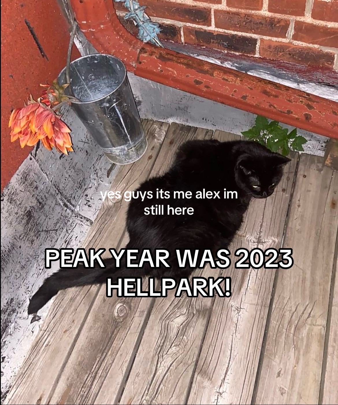 @alex the damienthornhpfan
