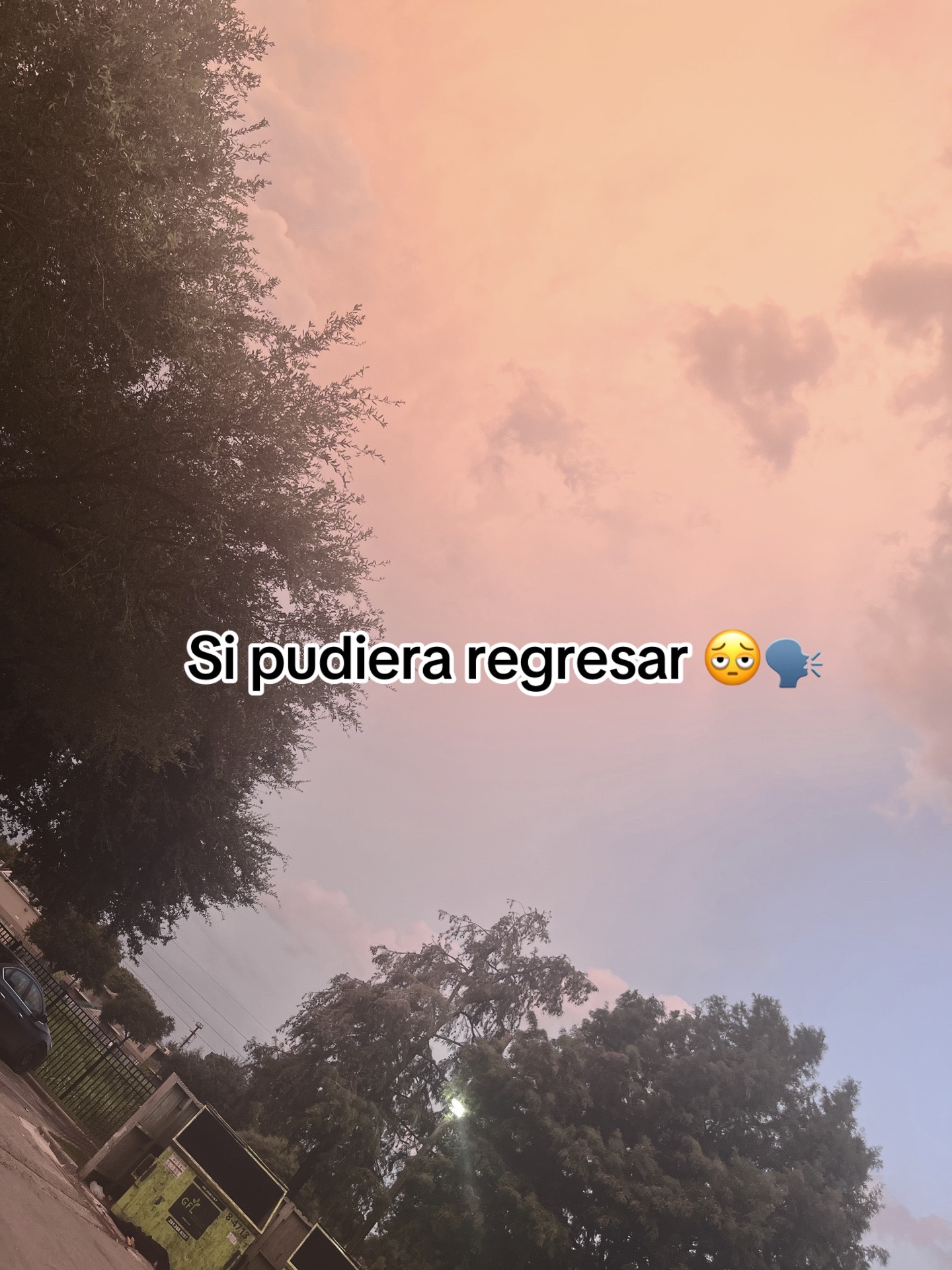 @🤍Ceci 🎀🦋💗