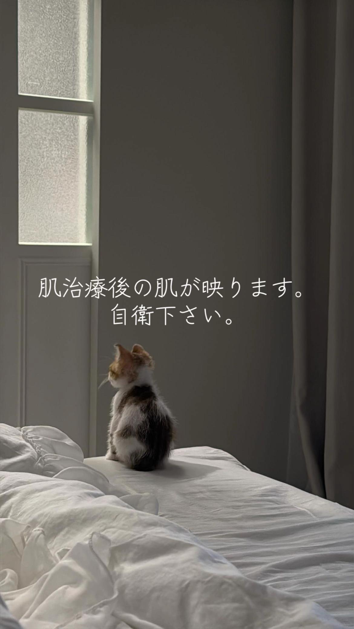 @ヒアルロン茶