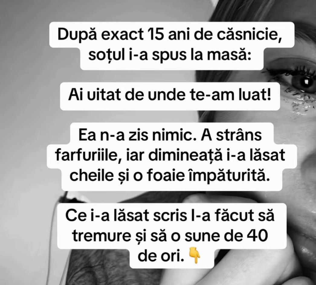 @DianaBrunette
