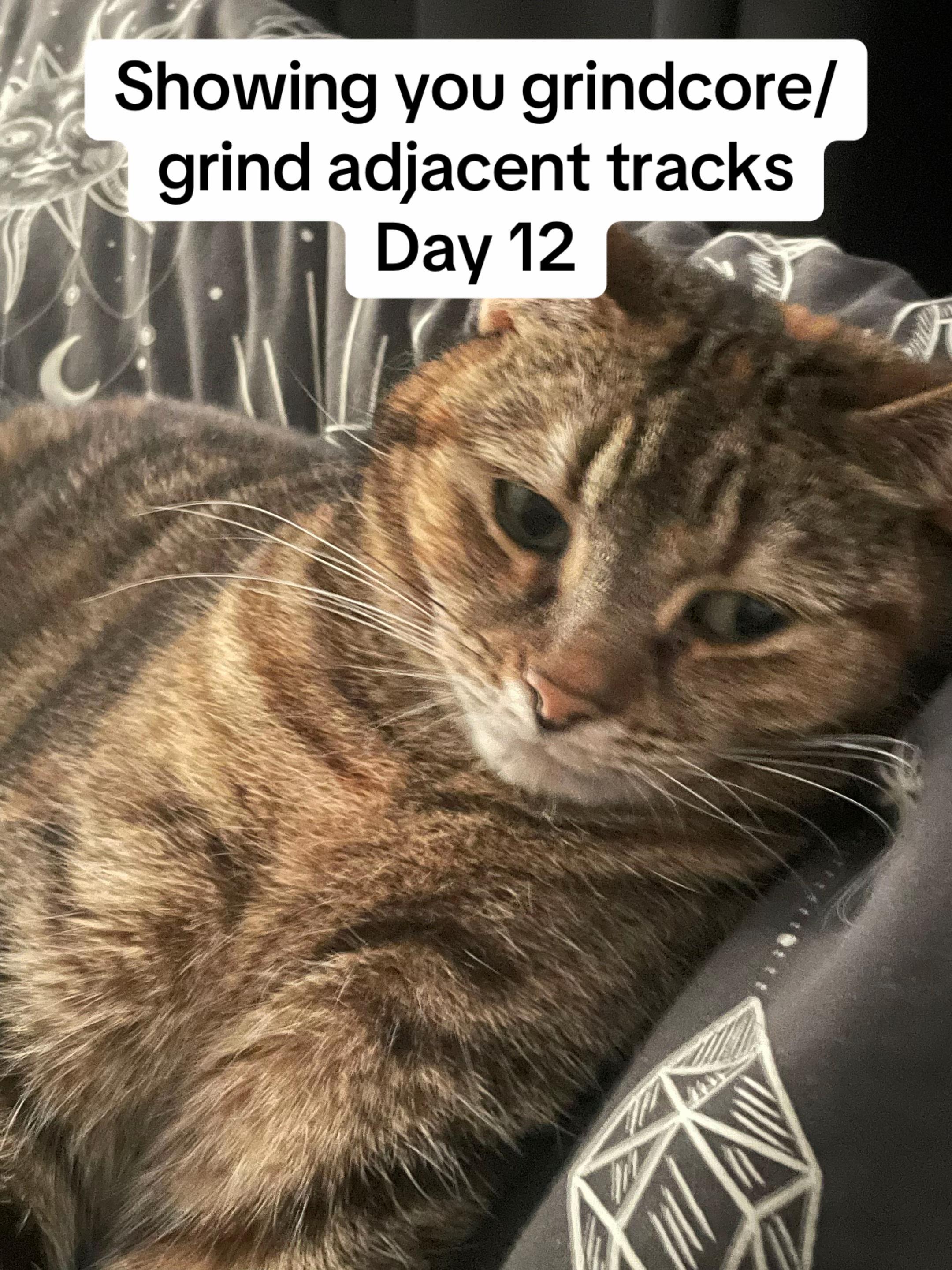 @Zak Ⓐ🎛️