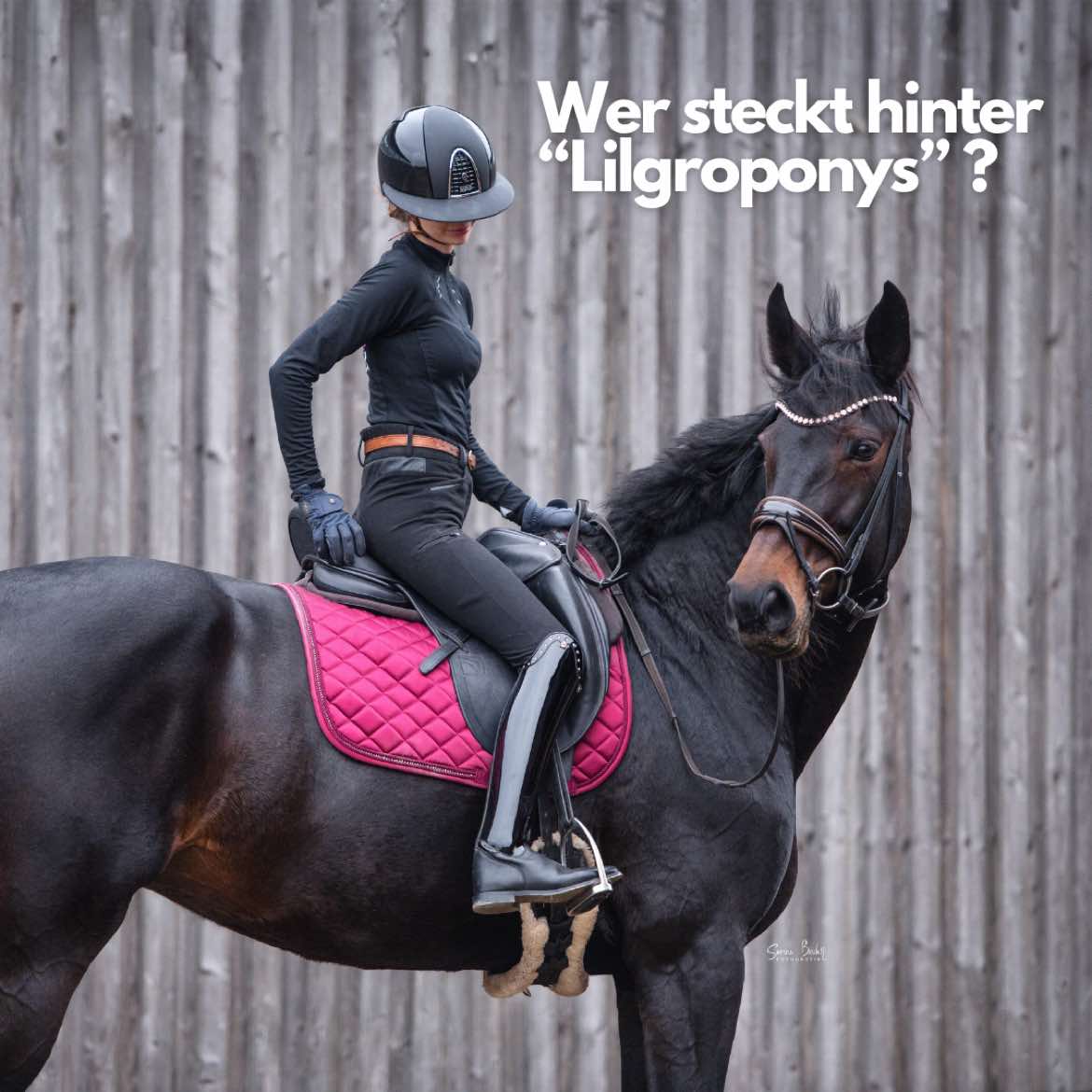 @lilgroponys
