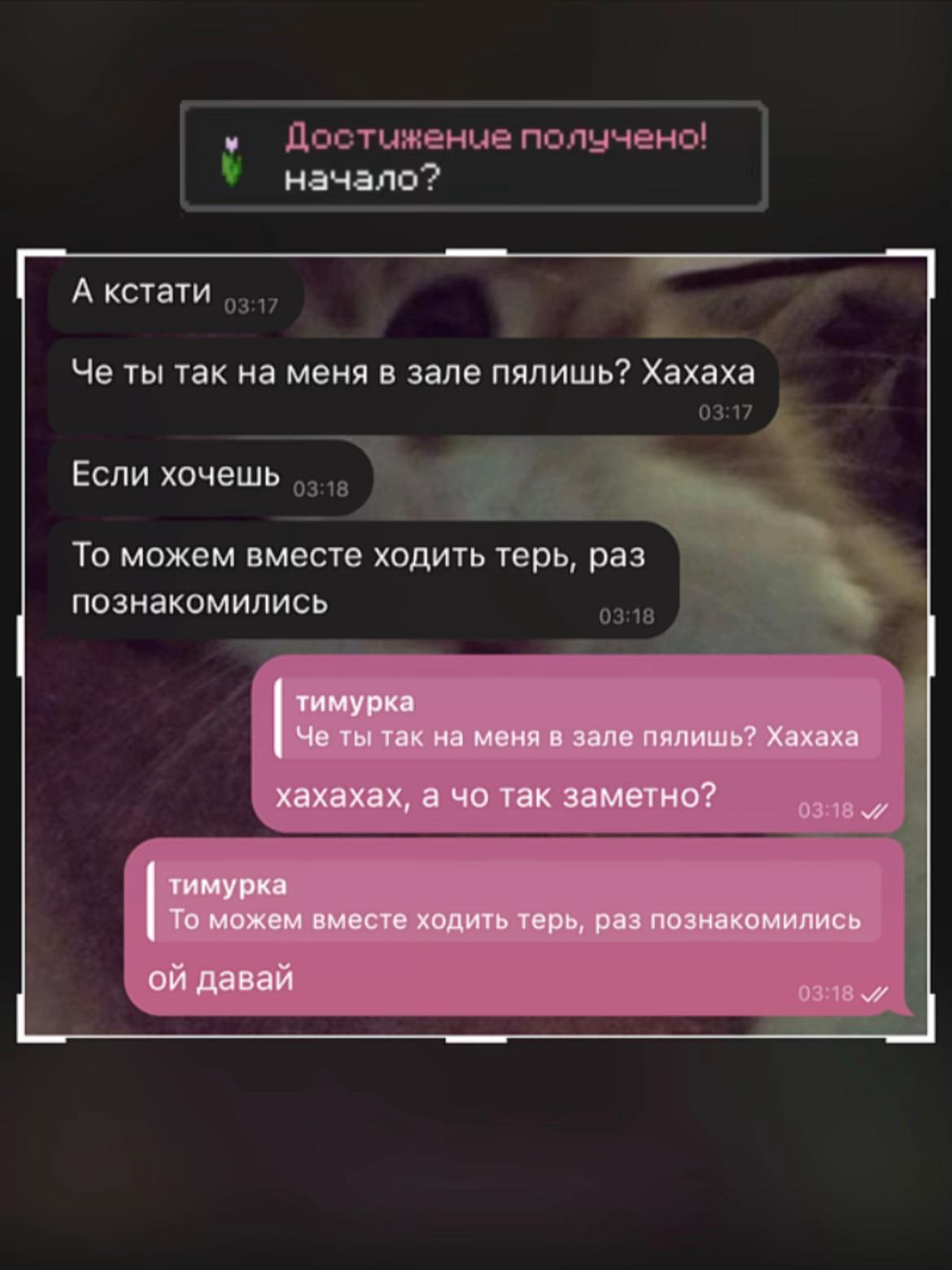 @никчя