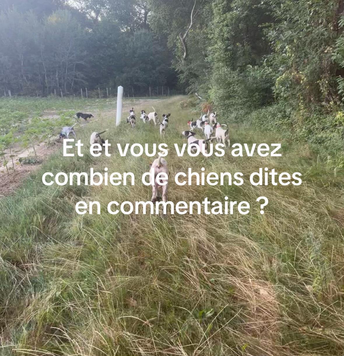 @LaMeutedesdeuxcharentes