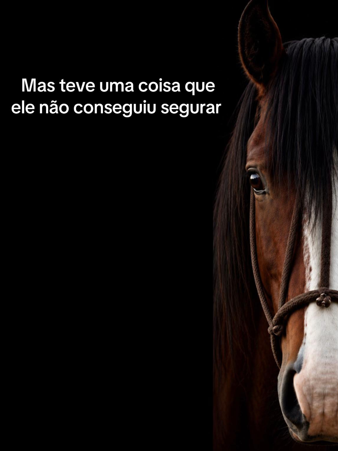 @Colorado da Baldez 🤎🐴