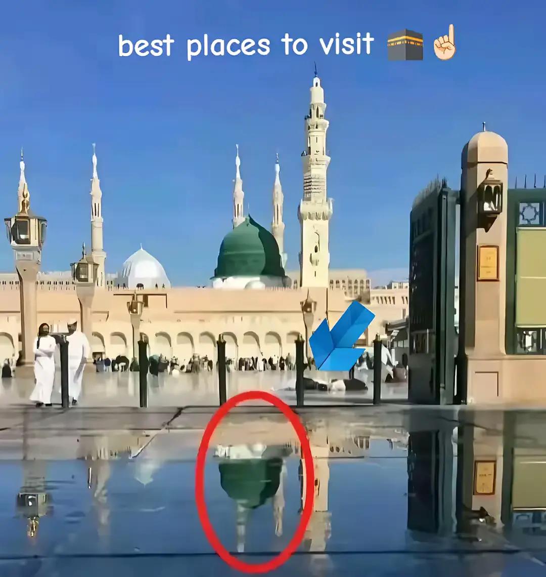 @inzamam jani