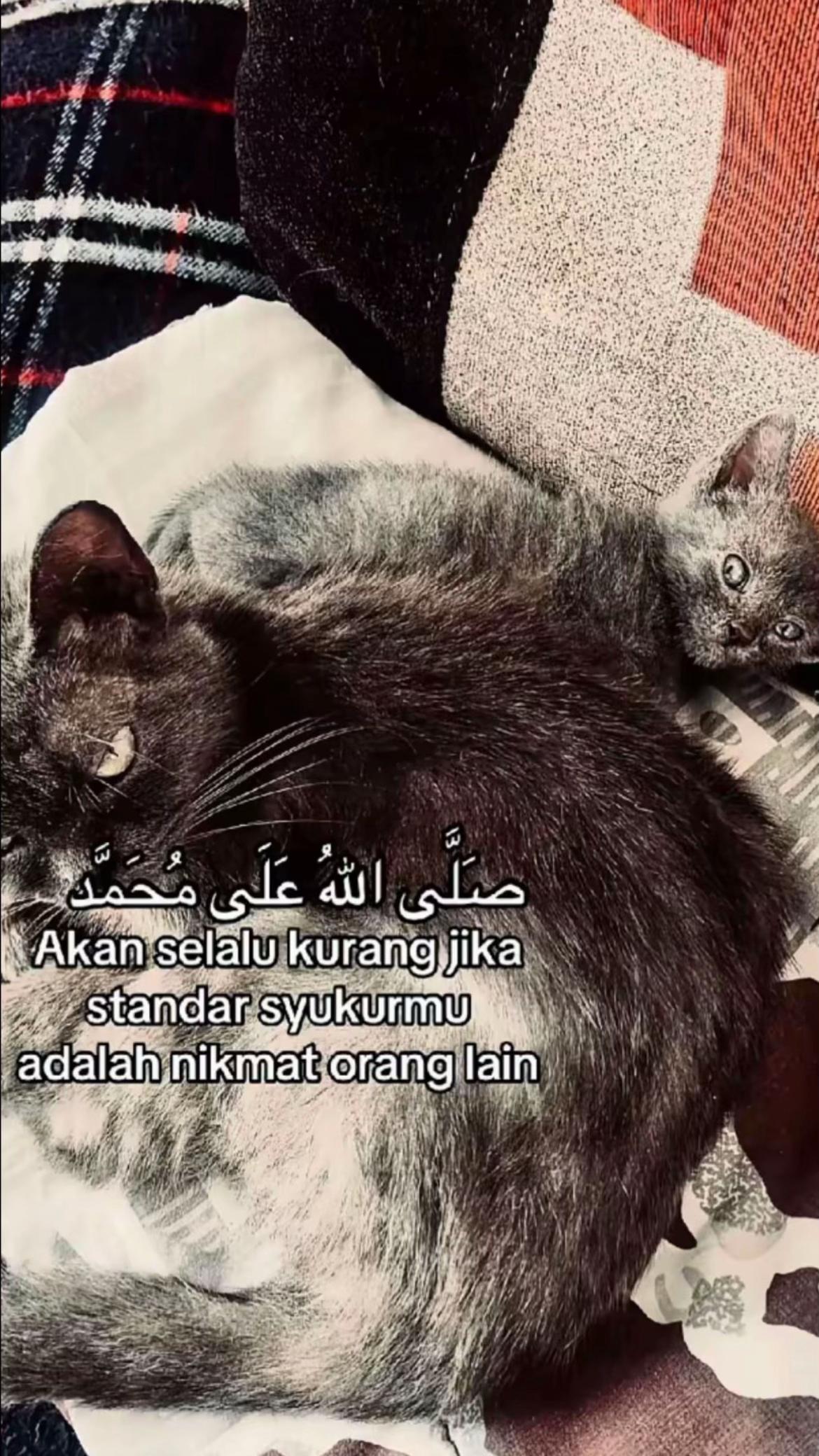 @Myu-4m4r