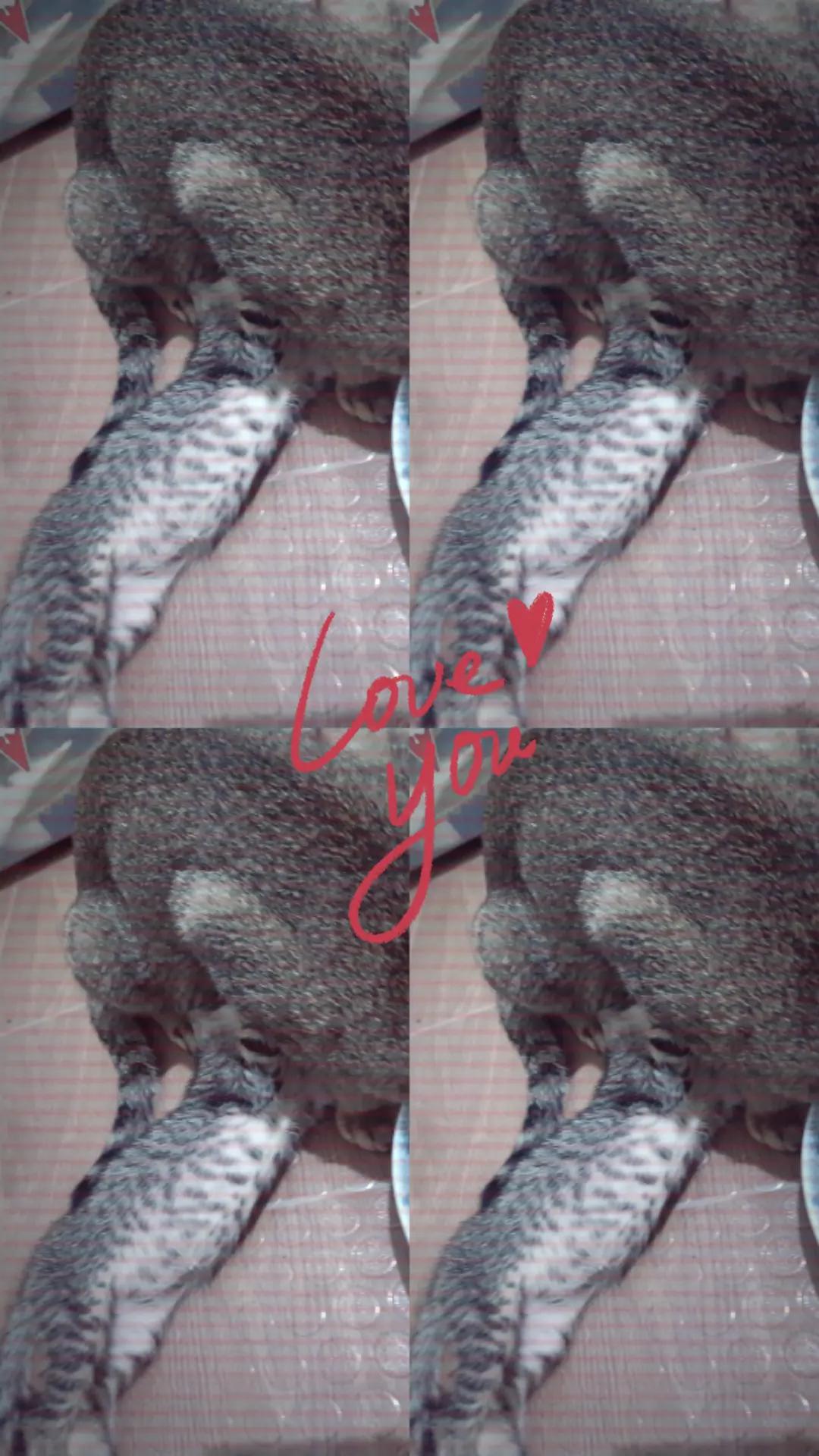 @♈ Ariestitch ♈