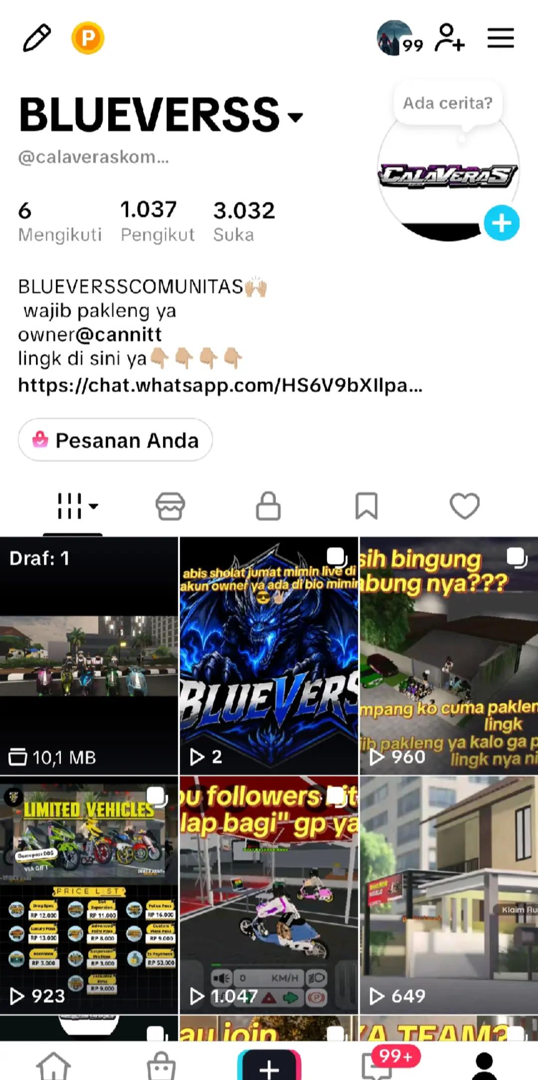 @BLUEVERSS