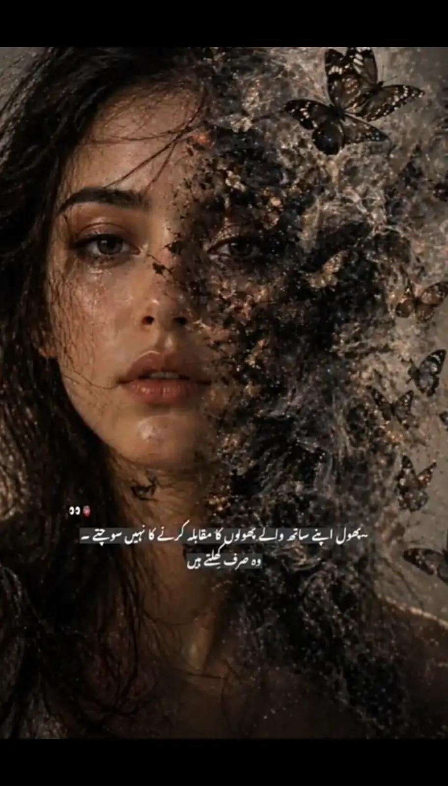 @shehz@diiiiiiiiii