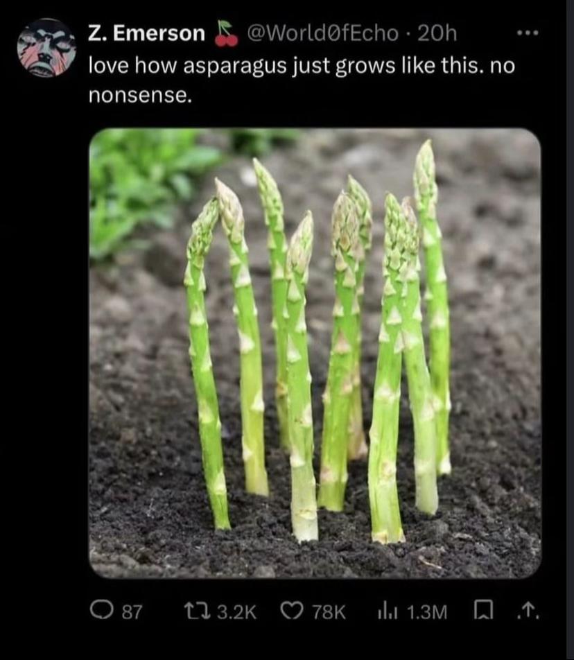 @ConeDawg