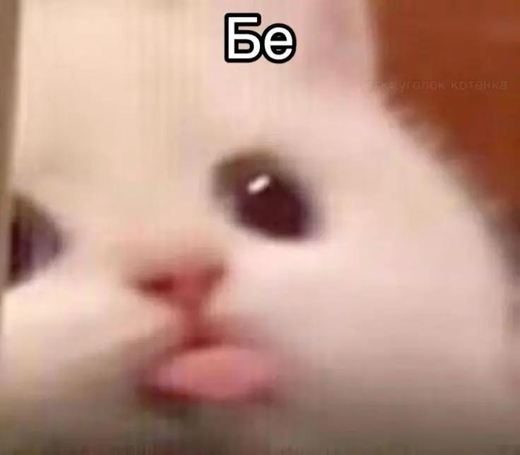 @𝐀𝐑𝐋𝐈𝐍 𝐂𝐎𝐒𝐏𝐋𝐀𝐘