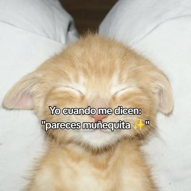 @ZEARI