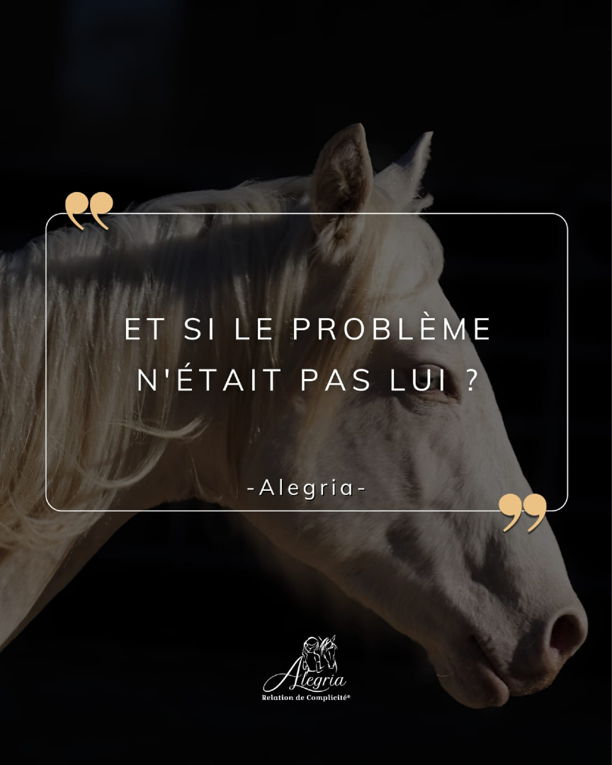 @Alegria Relation de Complicit&eacute;
