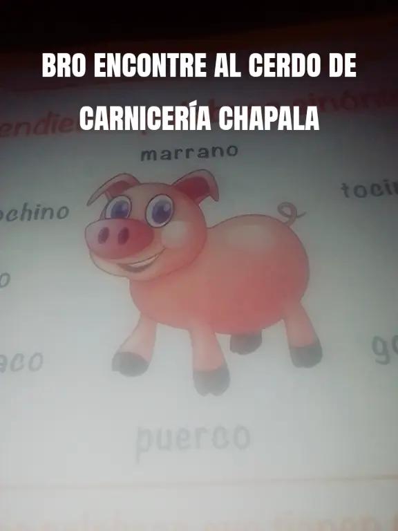@elniñopro2026_nosoypro