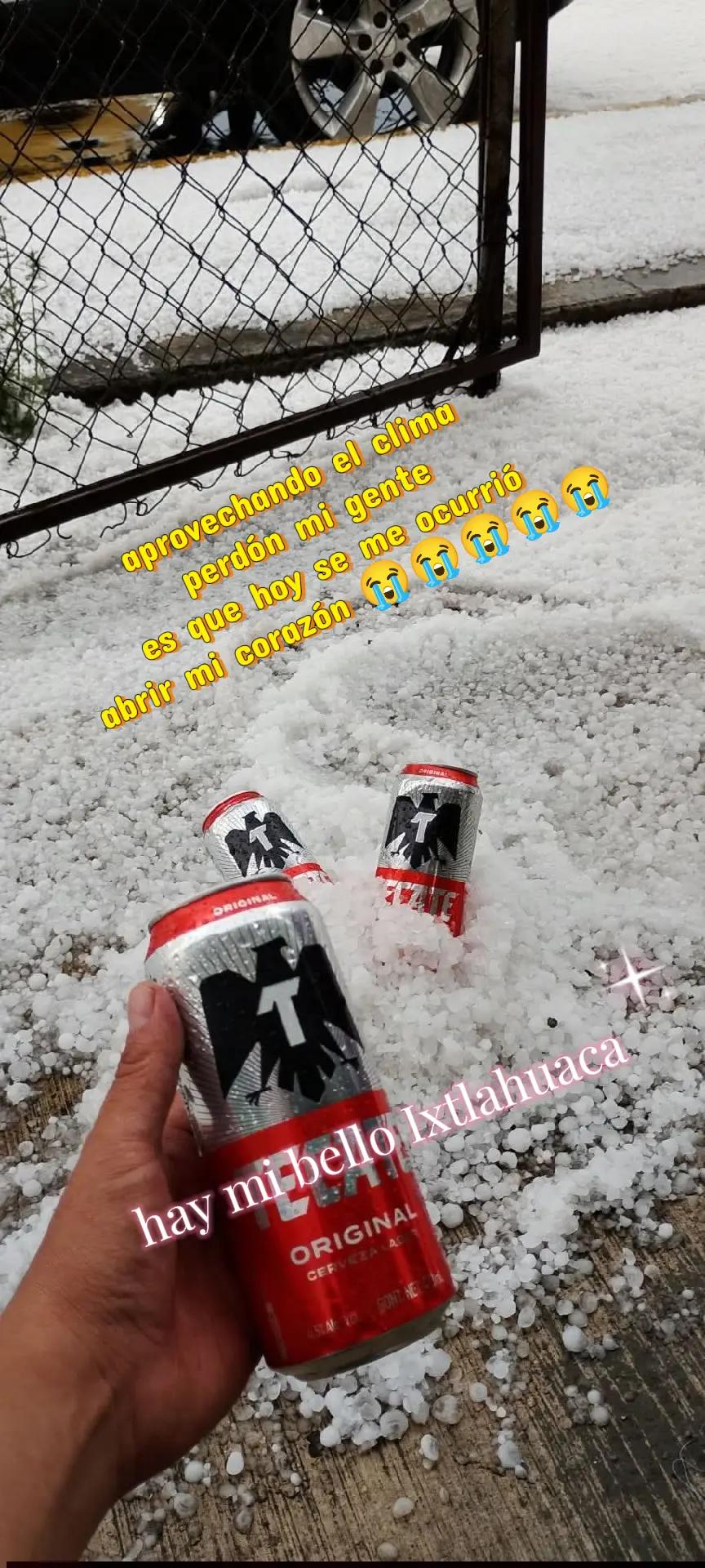 @Rosas eternas ixtlahuaca