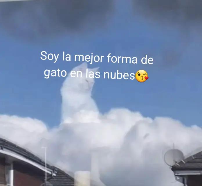 @Alex_xd