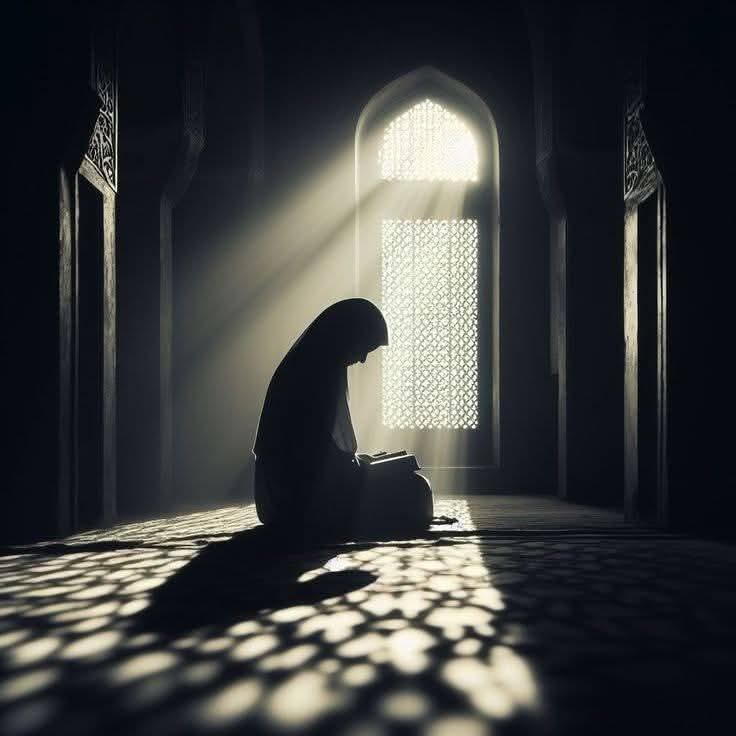 @Shamsun Nahar