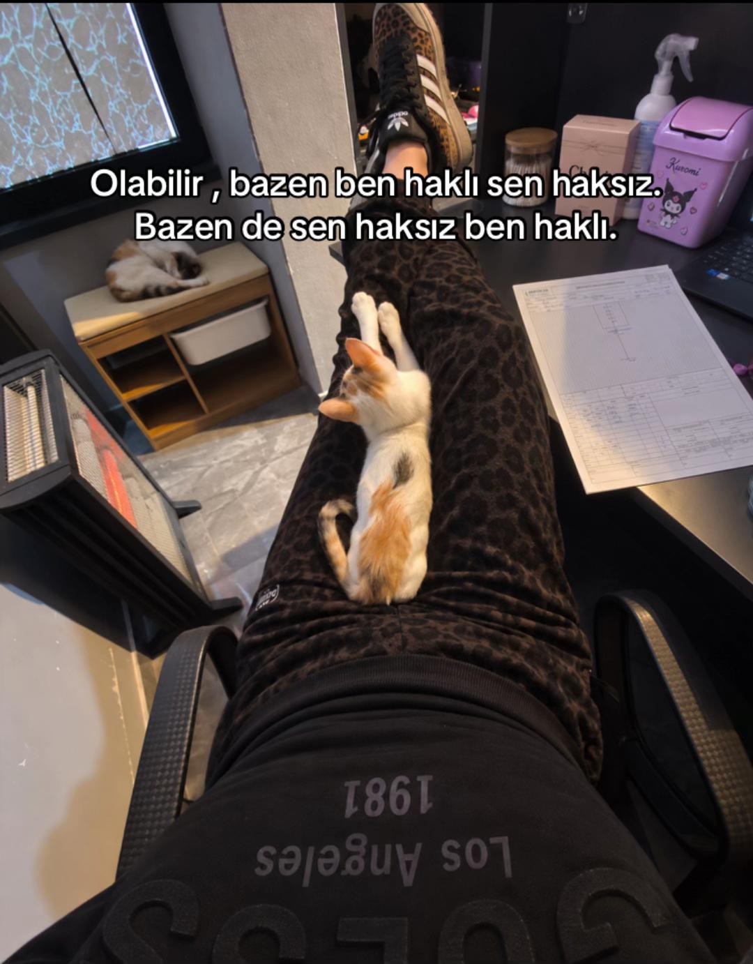 @pawsi💎